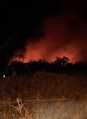 Elazığ'da orman yangını