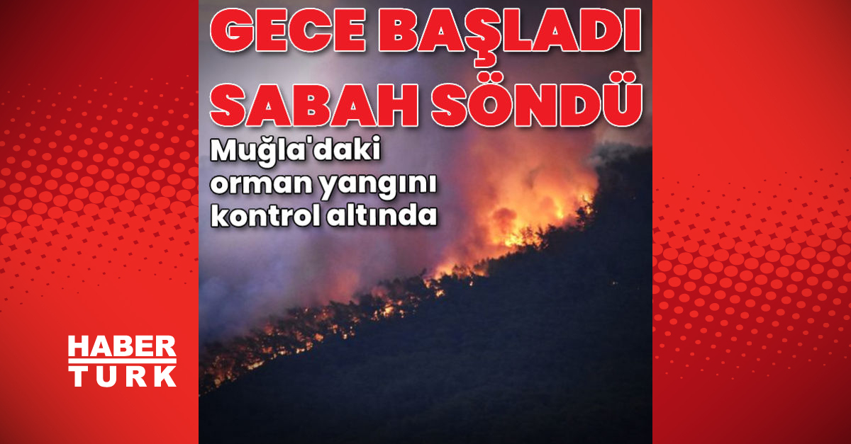 Muğla’nın Ula ilçesinde orman yangını