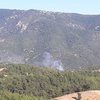 Adana'da 2 ilçede orman yangını