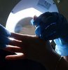 Prof. Dr. Faruk Yorulmaz, "Uyuz hiç bitmedi, ancak son 3 yılda bir artış oldu. Artışın temel nedenlerinden biri Covid-19 pandemisi nedeniyle insanları kapalı ortamlarda yaşamaya bir anlamda zorunlu halde tutmamız oldu. Tekrar açılımla birlikte insanlar dış ortama çıktıklarında daha geniş gruplara yayma söz konusu oldu. Dünyada da benzer eğilimler var. Dolayısıyla durumu bir genel artış olarak değerlendirmek, önlemlerimizi almak gerekecek" dedi