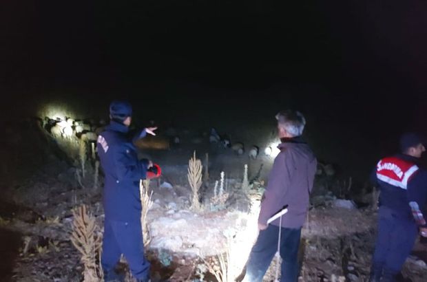 Kaybolan 50 koyun, dronla bulundu