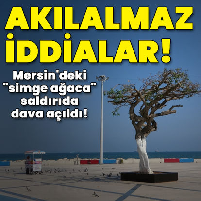 Mersin'deki "simge ağaca" saldırıda dava açıldı!