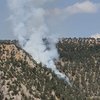 Adana'daki orman yangını söndürüldü