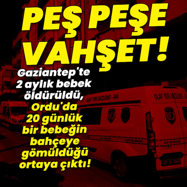 3527225_640x640.jpg