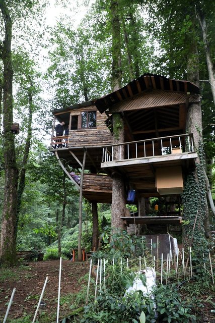 Ağaç gövdeleri arasına yaptı... İşte maliyeti!