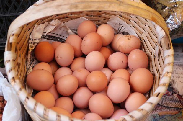 Yumurta üretiminde artış