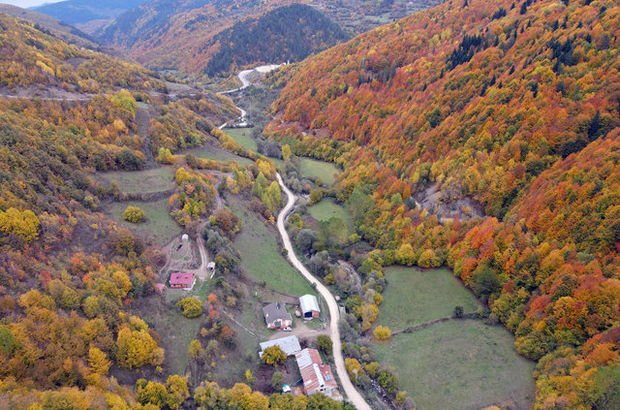 Ilgaz Dağı'nda sonbahar renkleri