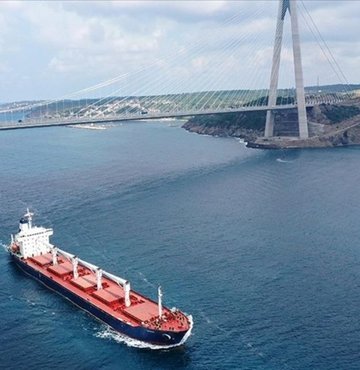 Türkiye, tahıl anlaşmasındaki aksaklığın ardından BM Güvenlik Konseyi