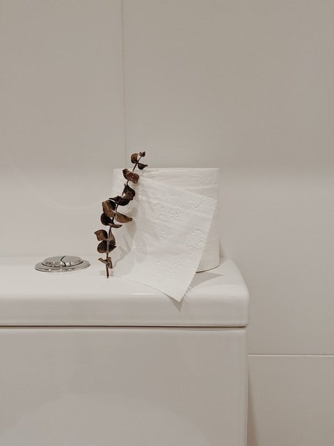 Tuvalet kağıtları neden beyaz renkte üretilir? Tam bir moda çılgınlığı!