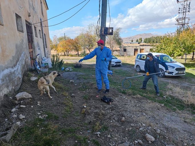 Olayın ardından Adilcevaz'da sokak hayvanlarına aşılama yapıldı.