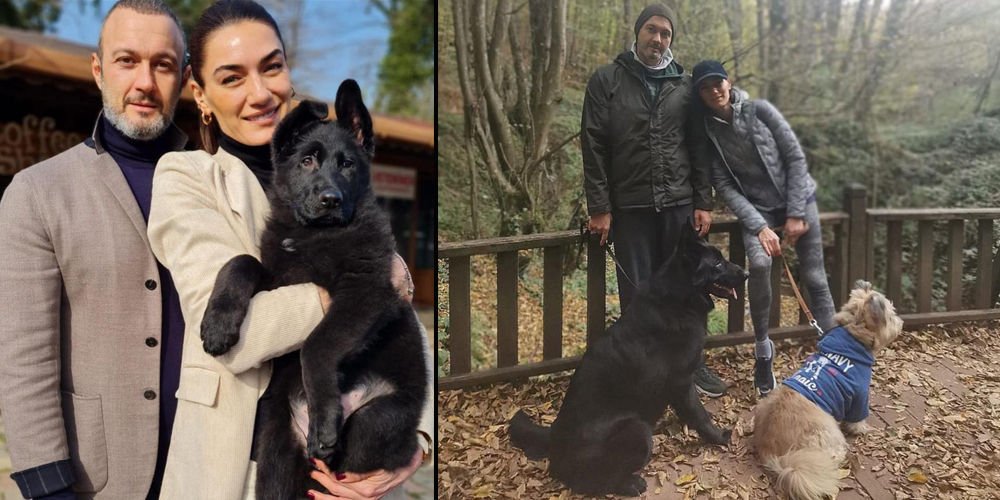 Doğada kısa bir mola...