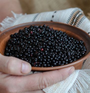 Bağışıklık sisteminin güçlü olması hastalıklara karşı vücut sisteminin savunma sağlaması için en önemli aşamadır. Bağışıklık sistemi, vücudun zararlı mikroorganizmalara karşı savunmasını sağlayan temel mekanizmadır. Özellikle soğuk kış aylarında virüs ve bakterilere karşı savunmasız olan bağışıklık sistemini güçlendirmek hastalıkları önlemede oldukça önemlidir. Bağışıklığı güçlendirmek için ise vücudun bakıra ihtiyacı vardır. Bakır; kırmızı kan hücreleri, bağ dokusu, kemik gibi enzimler için hayati önem taşır. Peki, sağlıklı dokular ve bağışıklık sistemi için de gerekli olan bakır hangi besinlerde bulunur? İşte vücudu bir kalkan gibi koruyan bakırı içerisinde barındıran doğal besinler...