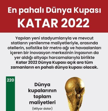 2022 Dünya Kupası, ev sahibi Katar