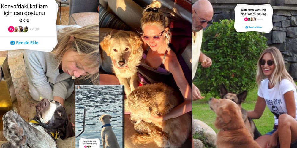 Minik dostlarını paylaştılar!