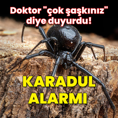 Türkiye'de karadul alarmı!
