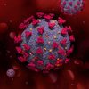 Koronavirüs kanser hücrelerinin yayılımını hızlandırıyor!
