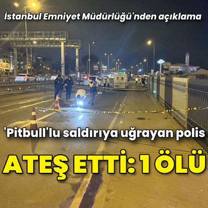 Fatih'te 'pitbull'lu saldırıya uğrayan polis ateş etti: 1 ölü