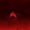 DSÖ: 2021'de sıtma vaka ve ölümleri Covid-19'a rağmen sabit kaldı
