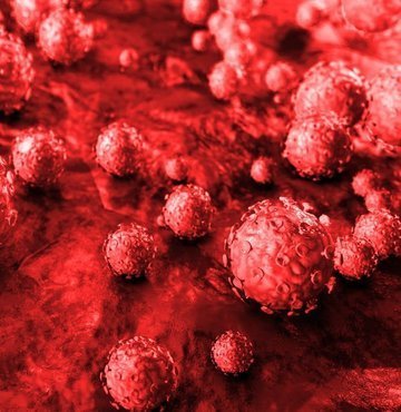 Genellikle belirti göstermeyen ve kendiliğinden kaybolan; bazen de ciddi hastalıklara neden olabilen HPV (Human Papilloma Virüsü), cinsel yolla bulaşan bir enfeksiyon. Çok sayıda türü bulunan HPV