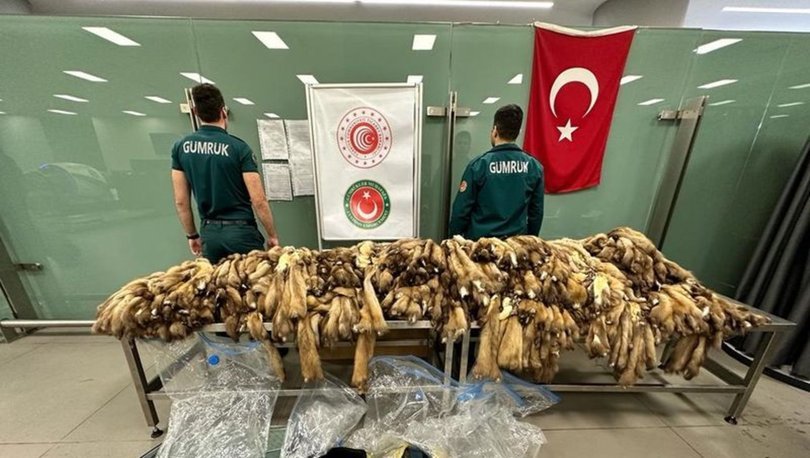 Son dakika haberler: 1200 adet! İstanbul havalimanında ele geçirildi!