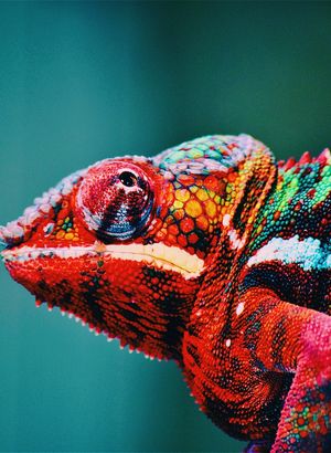 Renklerin psikolojik anlamları! Siz fark etmeseniz de bilinçaltınız renklerle iletişim kuruyor