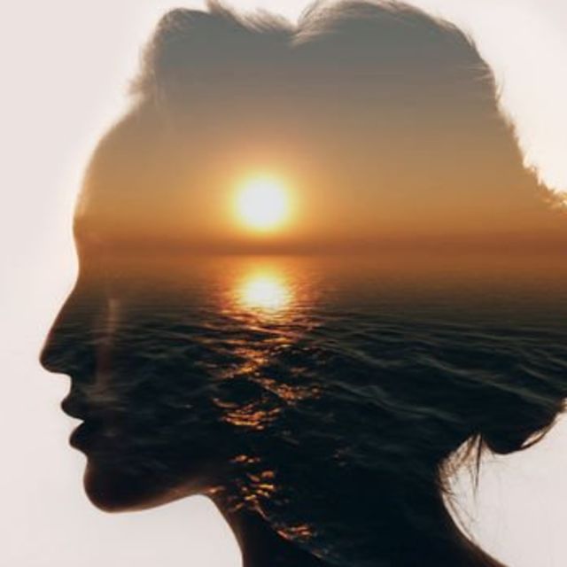 Bilincin duygusal yolları