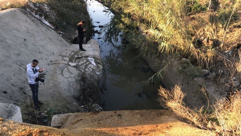 Adana'da çok sayıda eşek başı bulundu