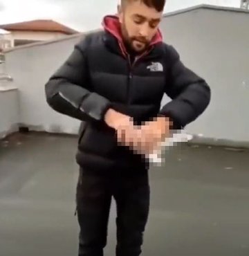 Hayvanlara yönelik saldırılara insanın kanını donduran bir olay daha eklendi. Başkent