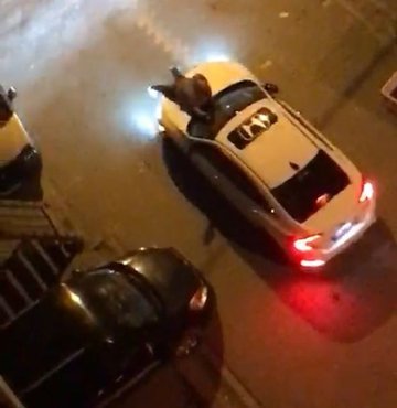 İstanbul Esenyurt