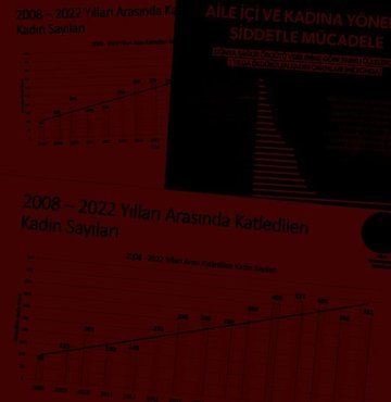 Kadın cinayetlerindeki korkunç artış, Türkiye Kadın Dernekleri Federasyonu