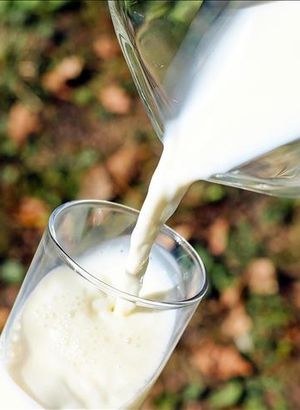 Türkiye İstatistik Kurumu verileri açıkladı! Süt üretiminde 2017'den beri en düşük seviye!