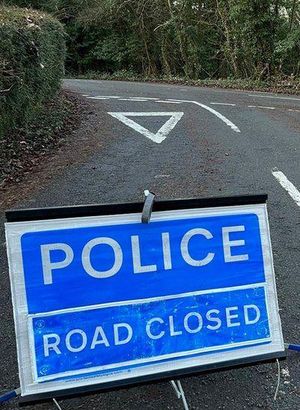 İngiltere’de bir köpek gezdiricisi köpekler tarafından öldürüldü