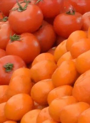 İstanbullular 2022'de en çok domates ve portakal tüketti