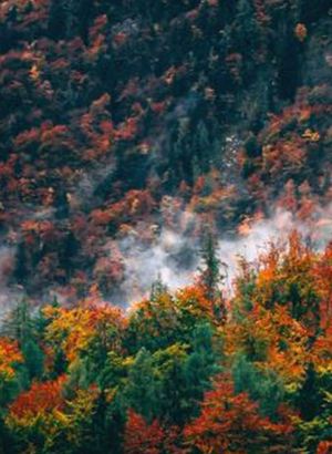 Koç'un projesi Davos'ta dünyaya örnek gösterildi