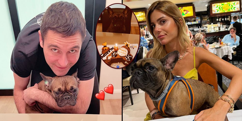 Sabancılar'dan köpeklerine kutlama!