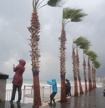 Meteoroloji