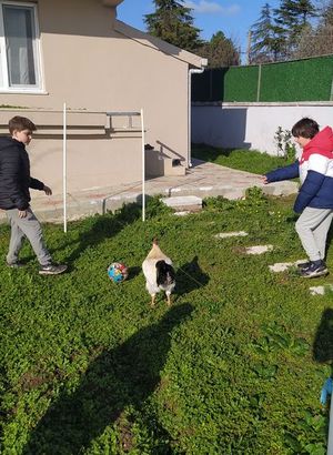 Horoz, futbolculara taş çıkarttı