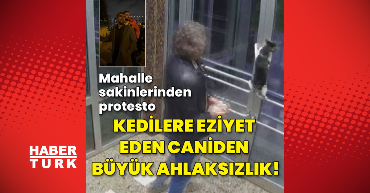 Küçükçekmece’de kedilere eziyet eden caniden büyük ahlaksızlık