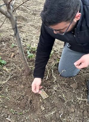 1500 yıllık tarih, şeftali bahçesinden çıktı