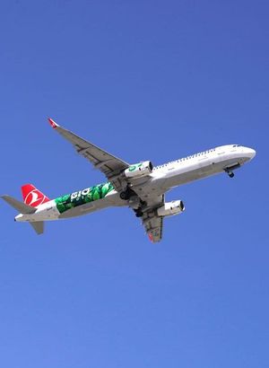 Son dakika: Ülkesine gönderilirken kabin memuruna saldırdı! THY uçağı acil iniş yaptı!