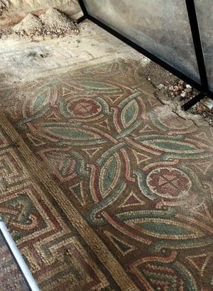 Belediye işçilerinin bulmuştu... Cam kafesle korunuyor