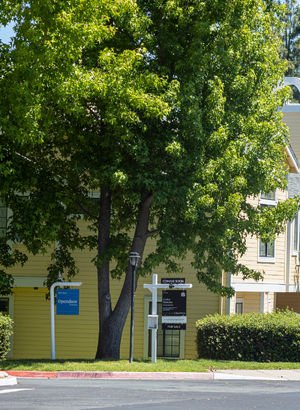 ABD'de mortgage faizleri 4 ayın en düşük seviyesinde