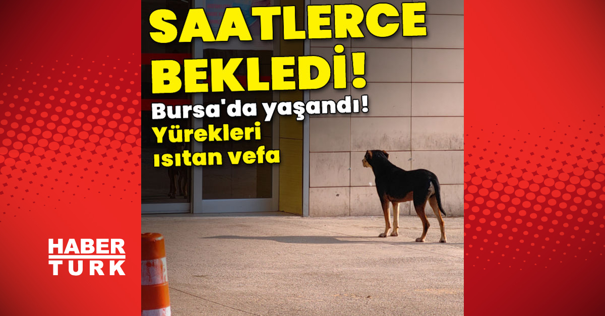 Bursa’da kendisine bakan engelli sahibini saatlerce hastane önünde bekledi