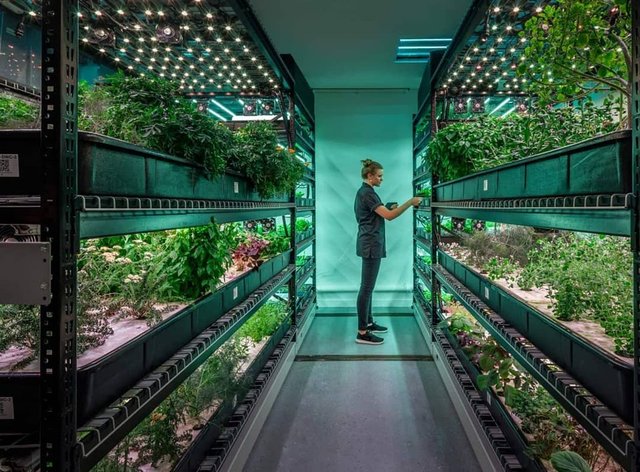 <span>Dikey tarım trendi hızla yayılıyor</span>