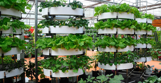 <strong>Dikey tarımın zorlukları</strong>