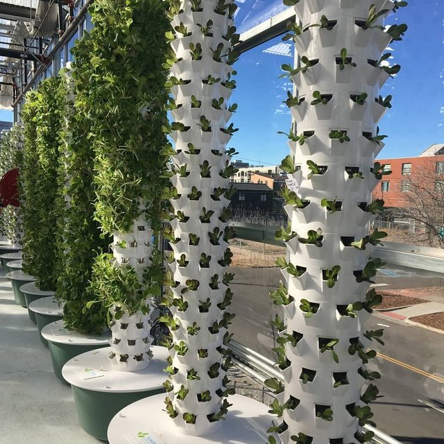 Dikey tarıma geçilmesi ne anlama geliyor?