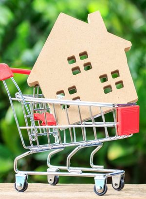 TÜİK enflasyon sepetini güncellendi