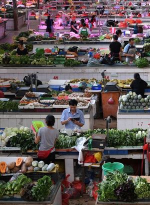 Küresel gıda fiyatları 10 aydır düşüyor