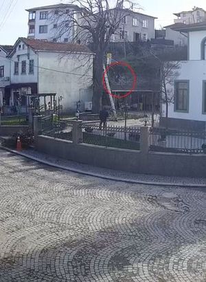 Kastamonu'da budamak için çıktığı ağaçtan düşüp öldü