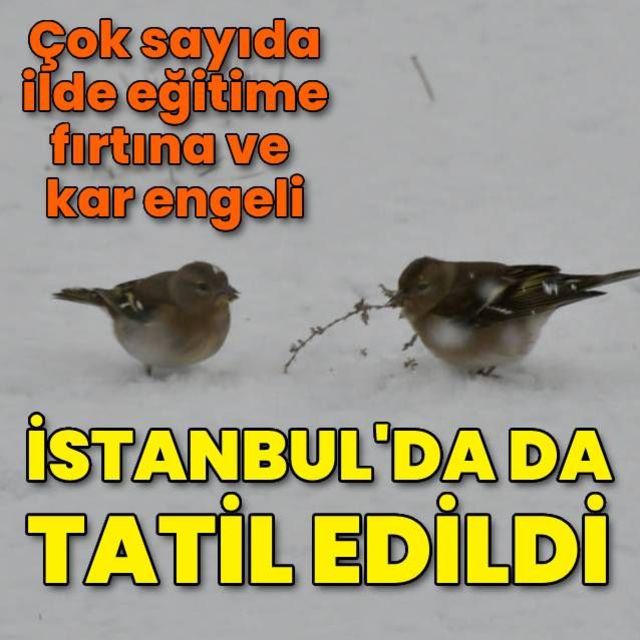 Çok sayıda ilde eğitime kar engeli!